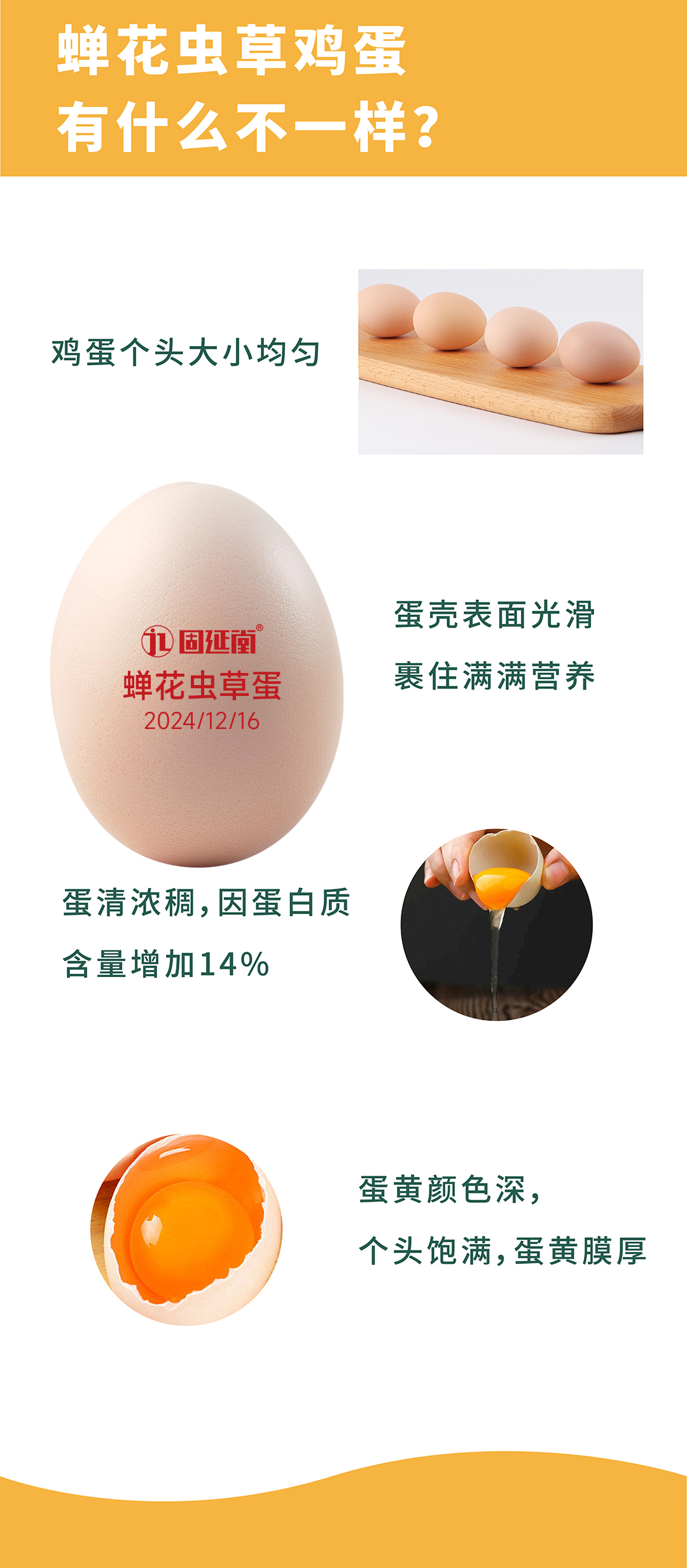 鸡蛋详情2024-02_04.jpg