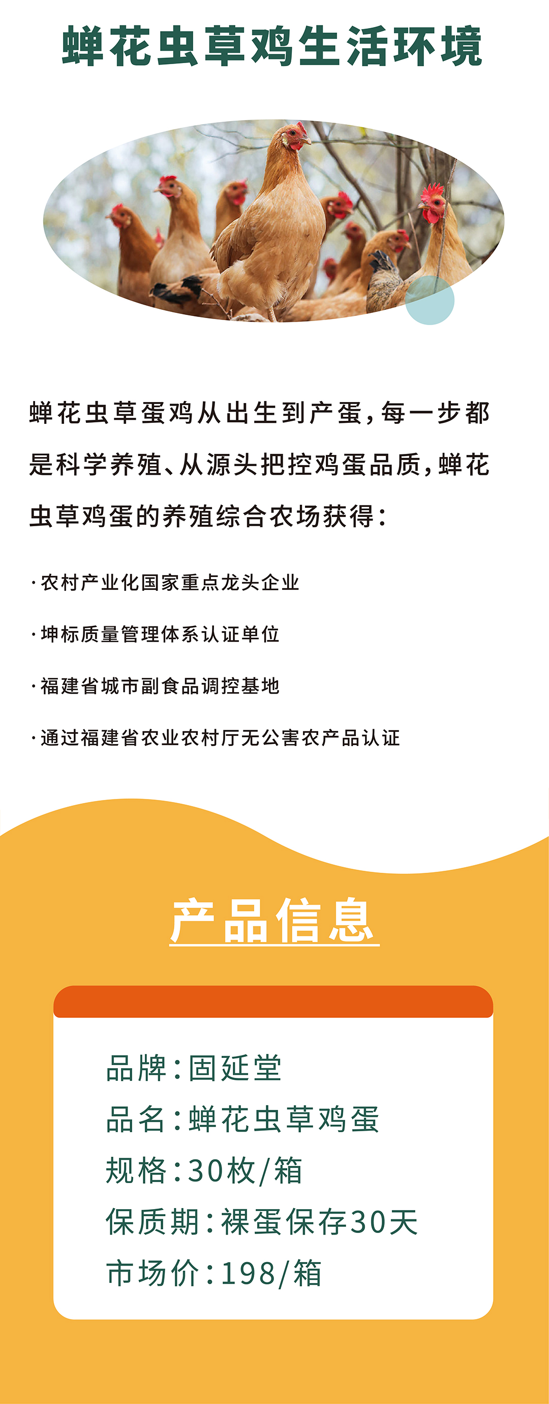 鸡蛋详情2024-02_13.jpg