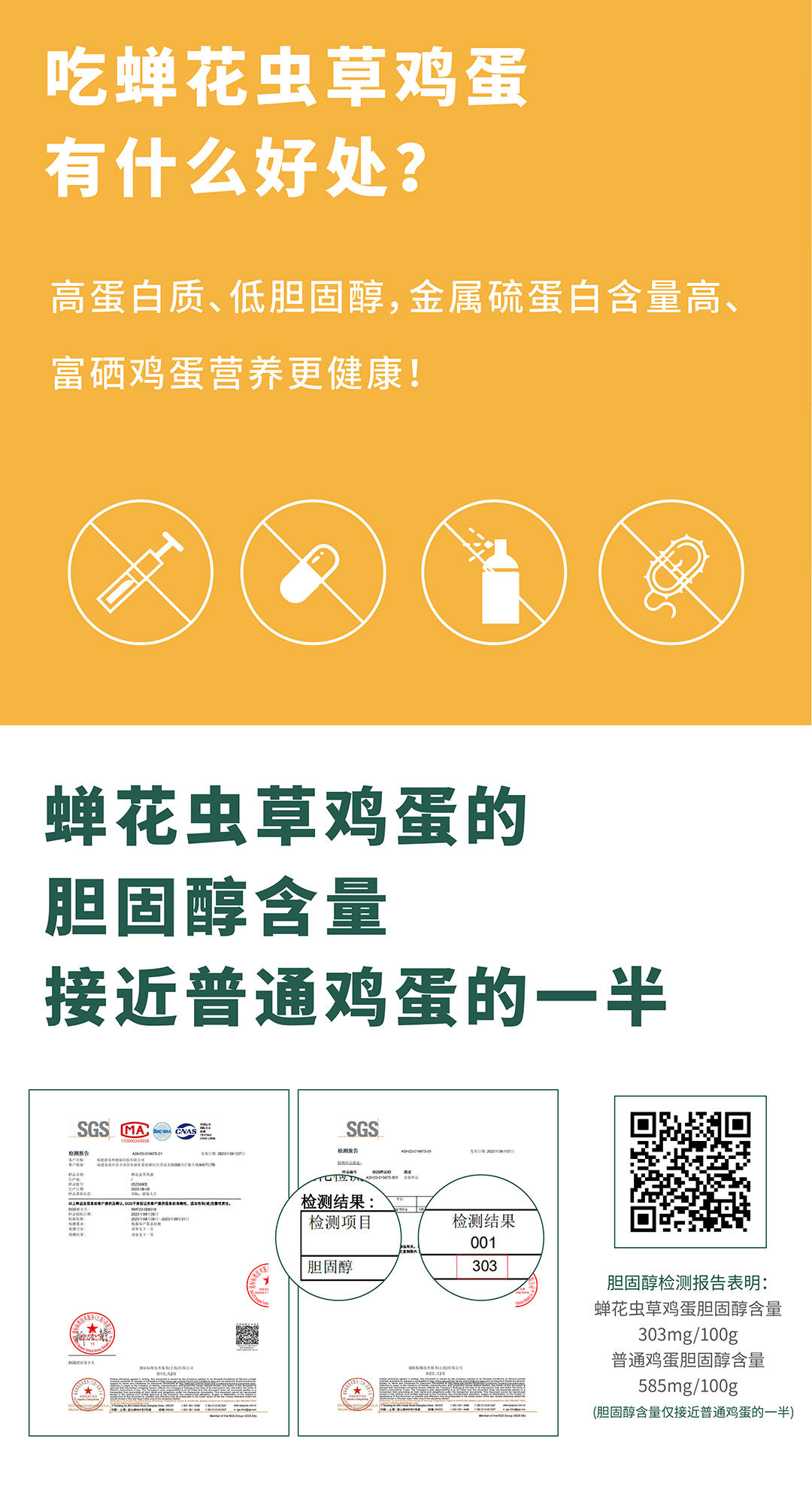 鸡蛋详情2024-02_05.jpg