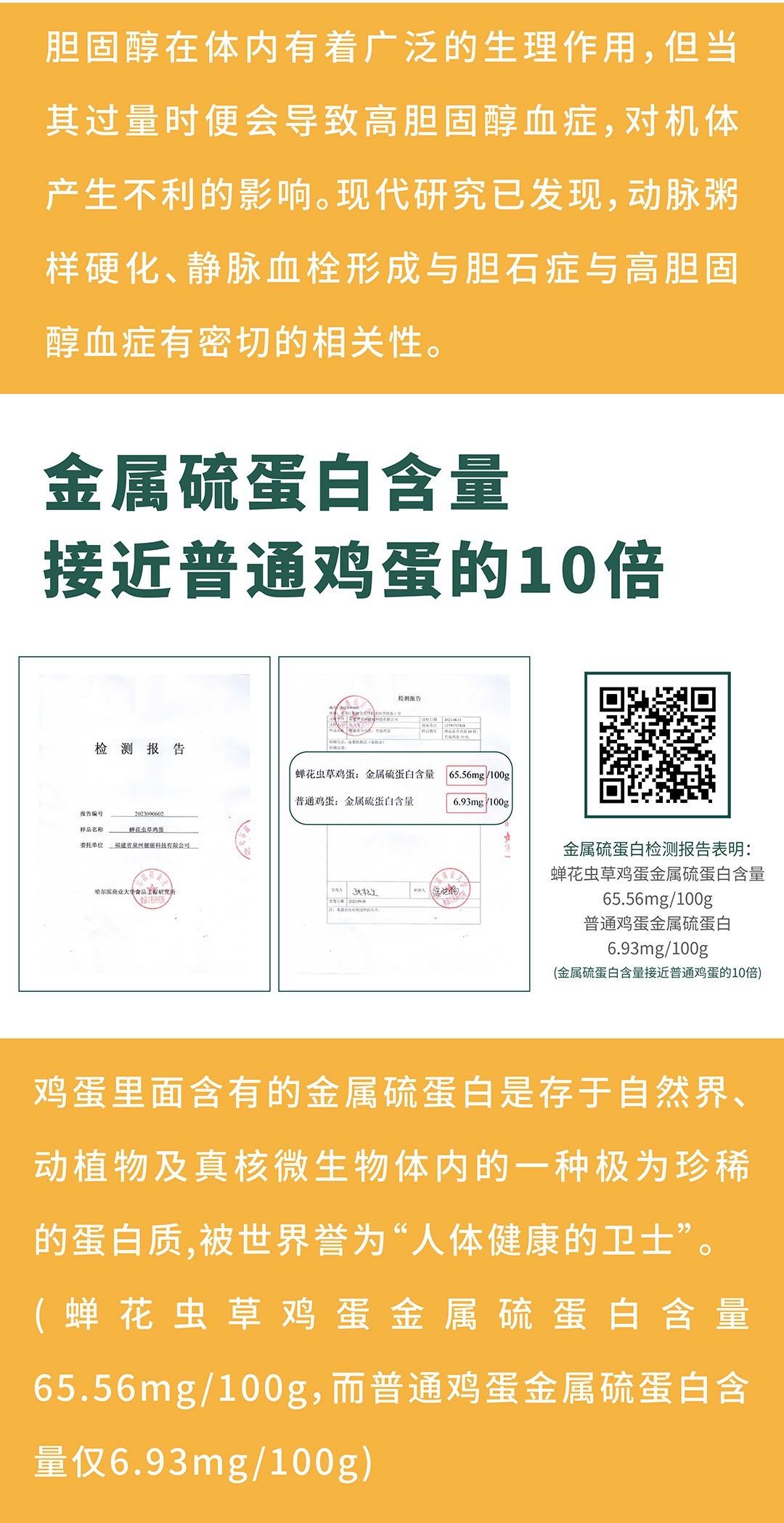 鸡蛋详情2024-02_06.jpg